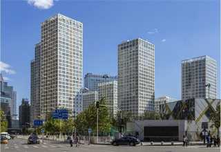 宁夏取石球囊技术要求