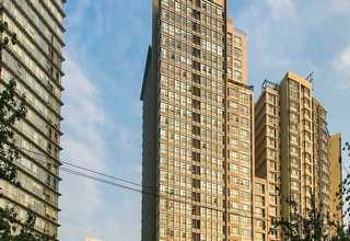 温州常用基板植球机市场报价