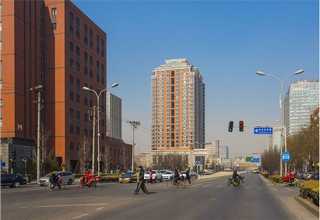 武汉食品胶体金检测卡